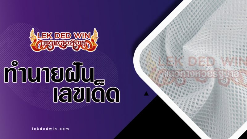 ภาพปกทำนายฝันเห็นตาข่าย