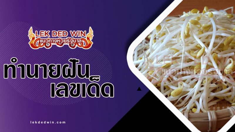 ภาพปกทำนายฝันเห็นถั่วงอก