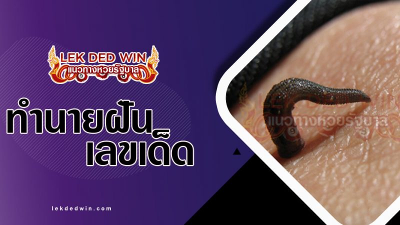 ภาพปกทำนายฝันเห็นทาก