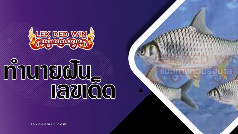 ภาพปกทำนายฝันเห็นปลาตะเพียน