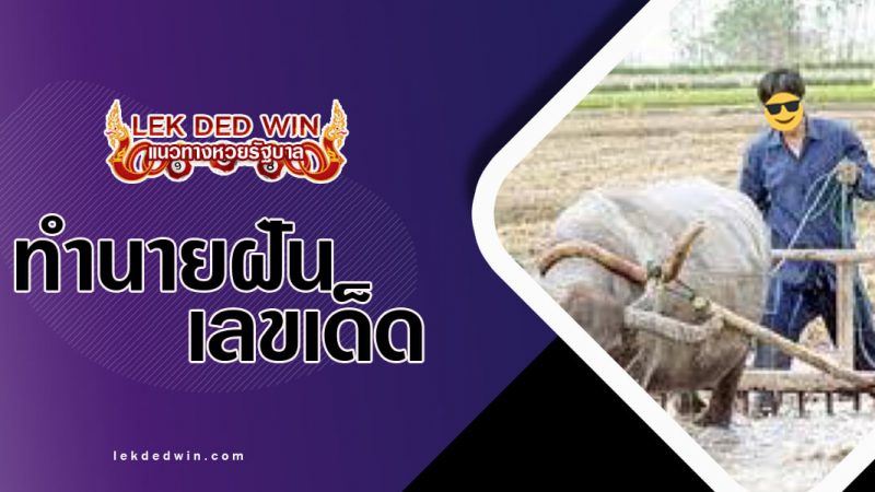 ภาพปกทำนายฝันเห็นแอก
