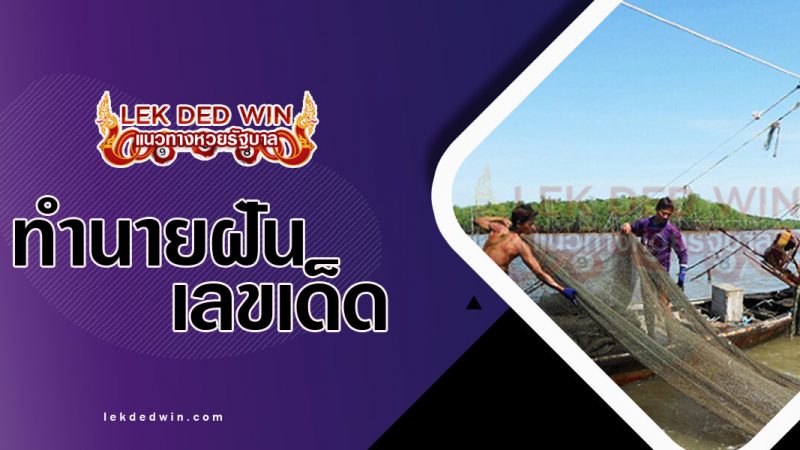 ภาพปกทำนายฝันเห็นโพงพาง