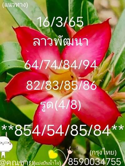 หวยลาววันนี้ 16/3/65ชุดที่11