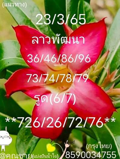 หวยลาววันนี้ 23/3/65ชุดที่12