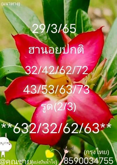 หวยฮานอยวันนี้ 29/3/65ชุดที่