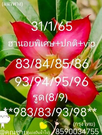 หวยฮานอยวันนี้ 31/3/65ชุดที่15