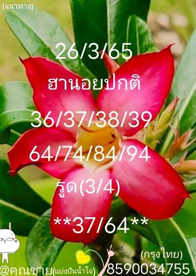 หวยฮานอยวันนี้26/3/65ชุดที่7