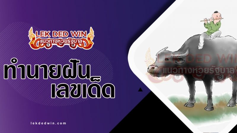 ภาพปกทำนายฝันว่าขี่วัวควาย