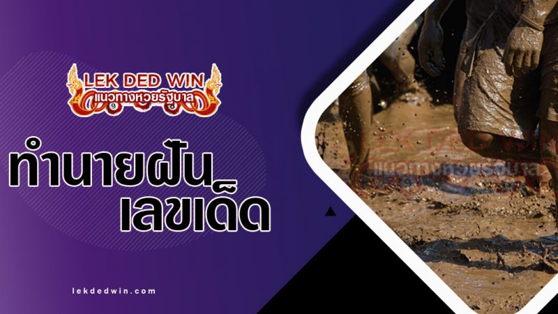 ภาพปกทำนายฝันว่าลุยโคลน