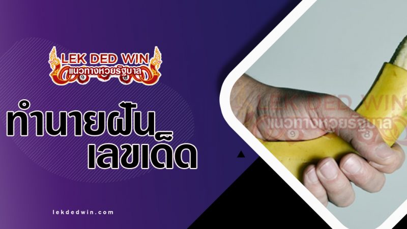 ภาพปกทำนายฝันเห็นอวัยวะเพศชาย