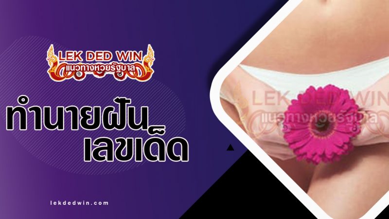 ภาพปกทำนายฝันเห็นอวัยวะเพศหญิง