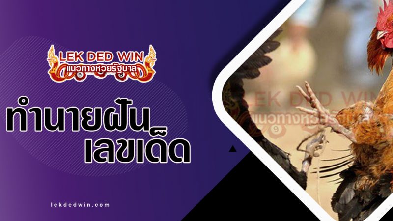 ภาพปกทำนายฝันเห็นไก่ชน
