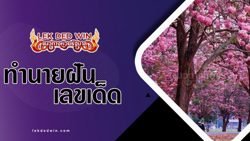 ภาพปกฝันเห็นต้นกัลปพฤกษ์
