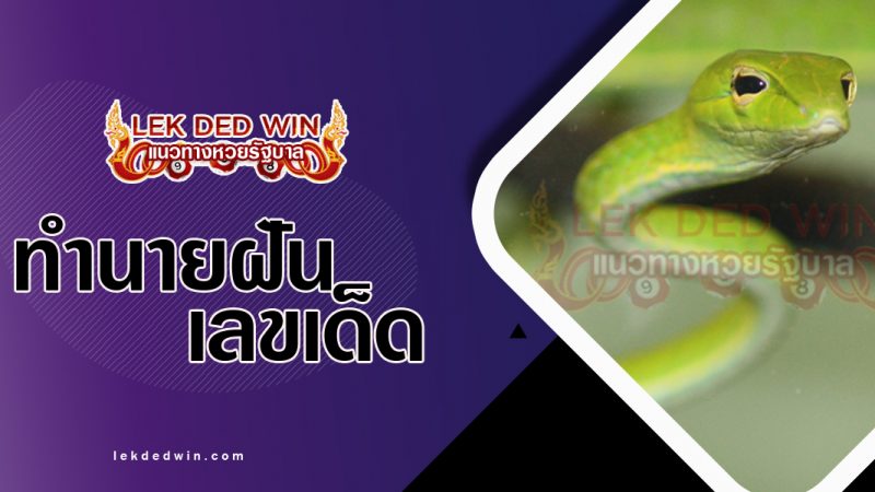 ภาพปกทำนายฝันเห็นงูเขียว