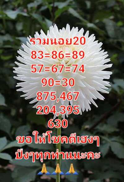 หวยฮานอยวันนี้20/8/65ชุดที่10