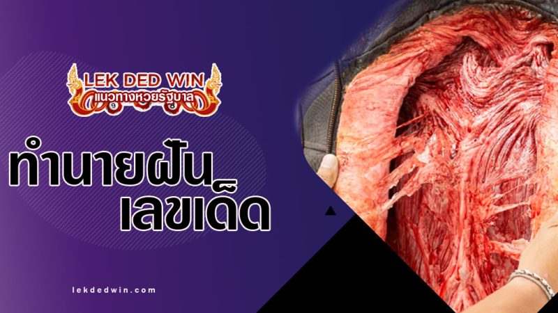 ทำนายฝันว่าโดนถลกหนัง