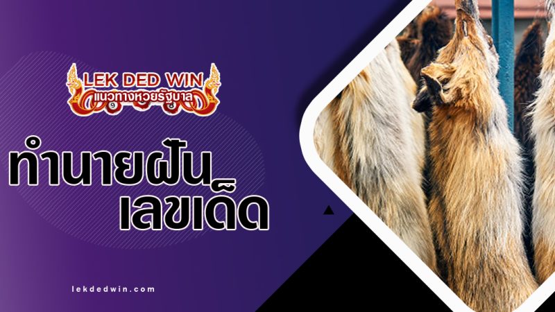 ทำนายฝันเห็นหนังสัตว์-พร้อมเลขเด็ด