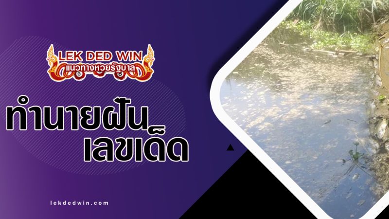 ทำนายฝันเห็นของเน่าเหม็น  พร้อมเลขเด็ด