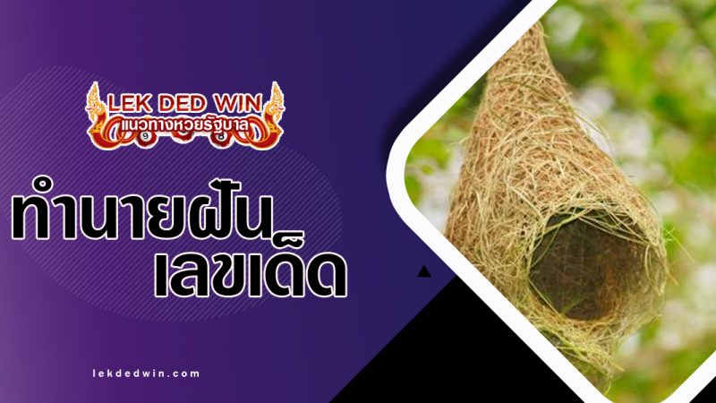 ทำนายฝันเห็นรังนก พร้อมเลขเด็ด