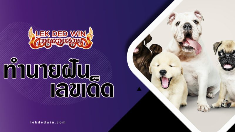 ทำนายฝันเห็นสัตว์เลี้ยง พร้อมเลขเด็ด
