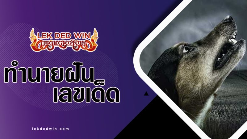 ทำนายฝันเห็นหมาหอน-พร้อมเลขเด็ด