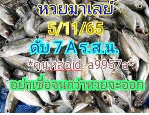 หวยมาเลย์วันนี้5/11/65 ชุดที่6