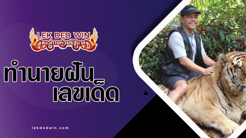 ทำนายฝันว่าได้ขี่เสือ--พร้อมเลขเด็ด