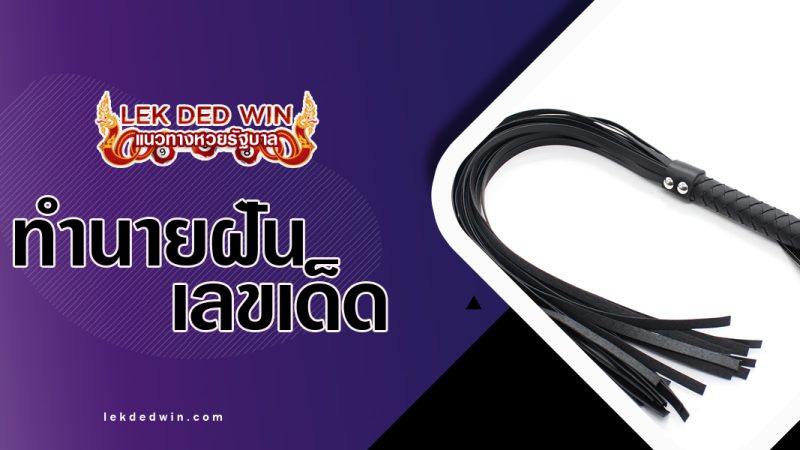 ทำนายฝันเห็นเเส้-พร้อมเลขเด็ด