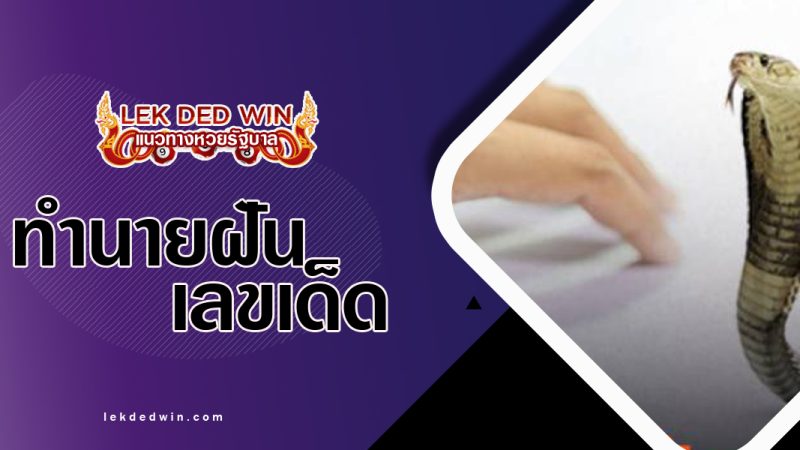 ทำนายฝันเห็นงูกัด พร้อมเลขเด็ด