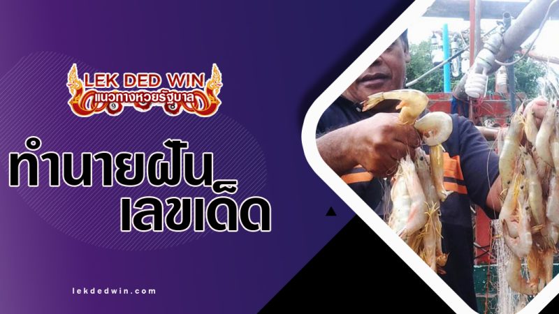 ทำนายฝันว่าได้จับกุ้งปลา พร้อมเลขเด็ด