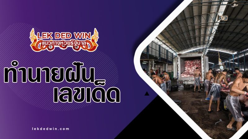 ทำนายฝันว่าได้ฆ่าสัตว์-พร้อมเลขเด็ด
