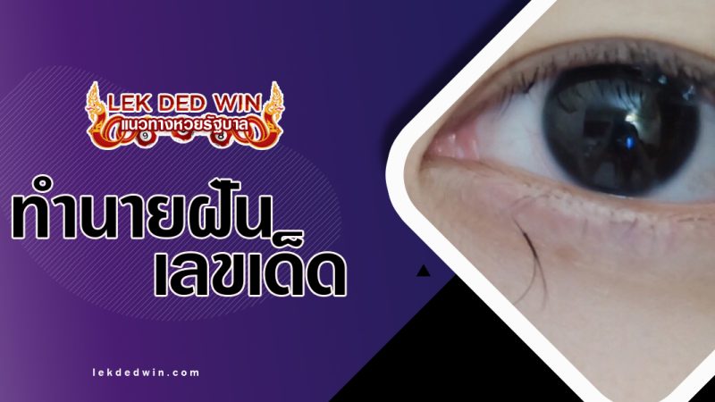 ทำนายฝันเห็นขนตาหลุด-พร้อมเลขเด็ด