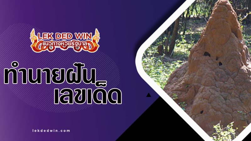 ทำนายฝันเห็นจอมปลวก-พร้อมเลขเด็ด