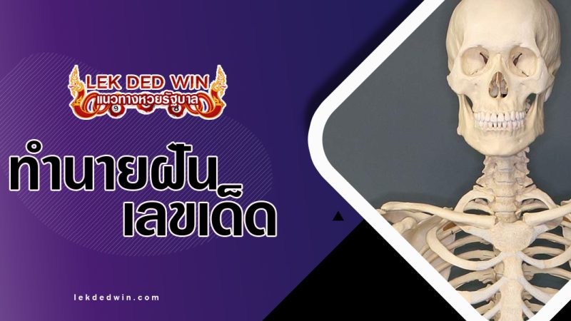 ทำนายฝันเห็นโครงกระดูก-พร้อมเลขเด็ด