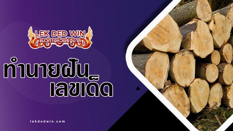 ทำนายฝันเห็นซุงไม้-พร้อมเลขเด็ด