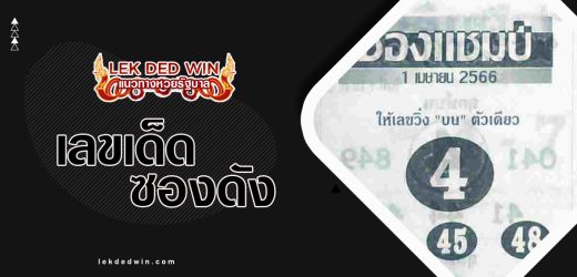 หวยซองแชมป์ 1/4/66 เลขซองดังสุดยอดผลงานแชมป์