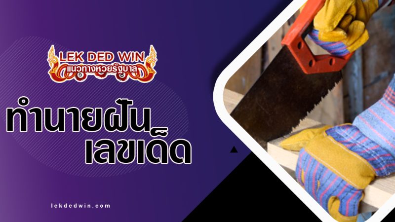 ทำนายฝันจับเลื่อยไม้-พร้อมเลขเด็ด