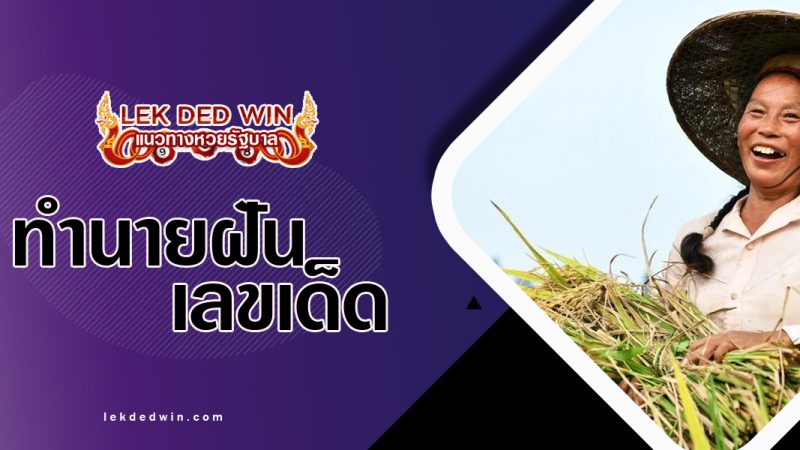 ทำนายฝันถือรวงข้าว-พร้อมเลขเด็ด