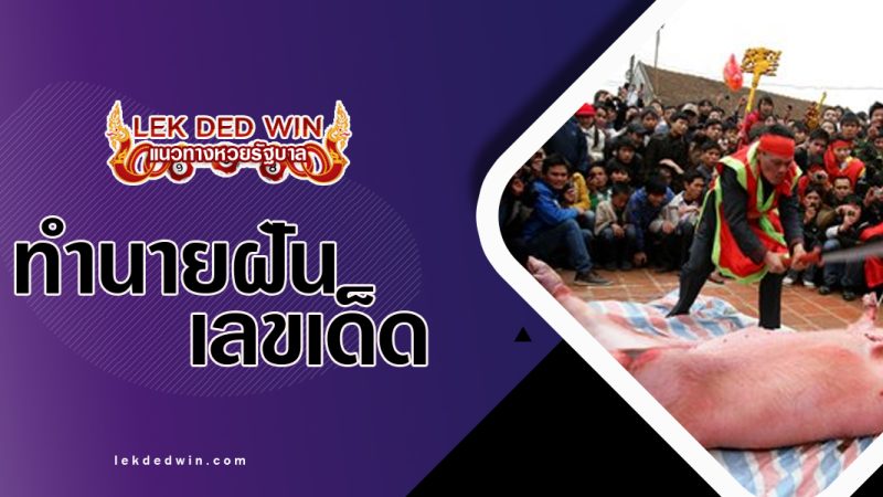 ทำนายฝันว่าเชือดหมู-พร้อมเลขเด็ด
