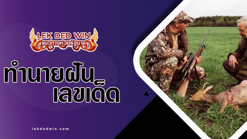 ทำนายฝันว่าได้ยิงสัตว์-พร้อมเลขเด็ด