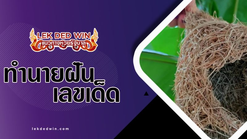 ทำนายฝันได้จับรังนก-พร้อมเลขเด็ด