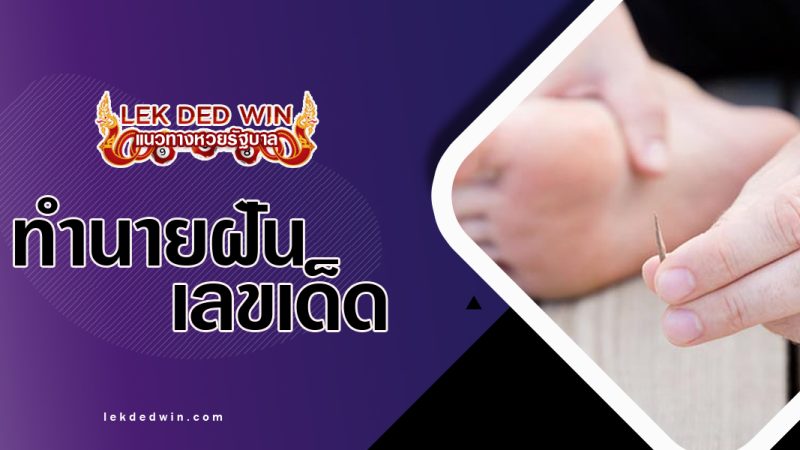 ทำนายฝันถูกเสี้ยนหนาม-พร้อมเลขเด็ด