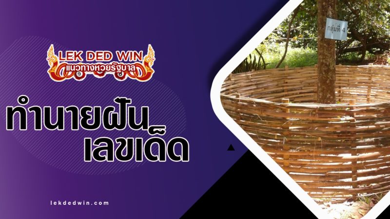 ทำนายฝันเห็นเสวียน-พร้อมเลขเด็ด