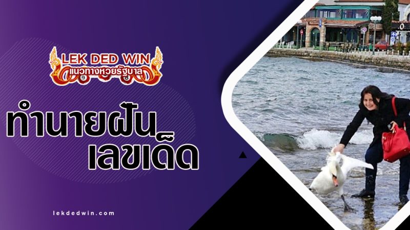 ทำนายฝันได้จับหงส์-พร้อมเลขเด็ด