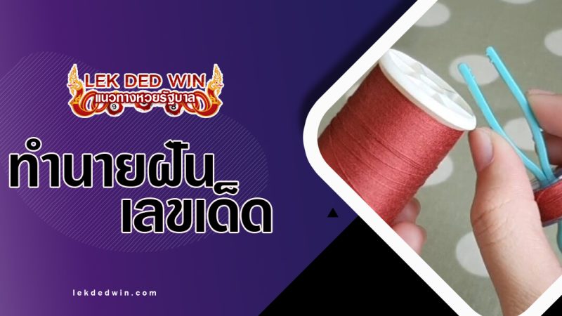 ทำนายฝันได้จับเส้นด้าย-พร้อมเลขเด็ด