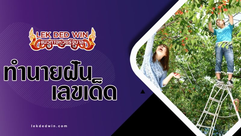 ทำนายฝันได้ไปสวน-พร้อมเลขเด็ด