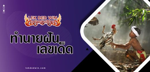 ทำนายฝันจับหางไก่ แปลความฝันว่าอย่างไร