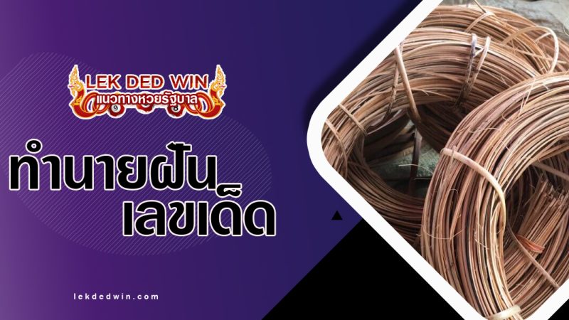 ทำนายฝันถูกหวายรัดตัว-พร้อมเลขเด็ด