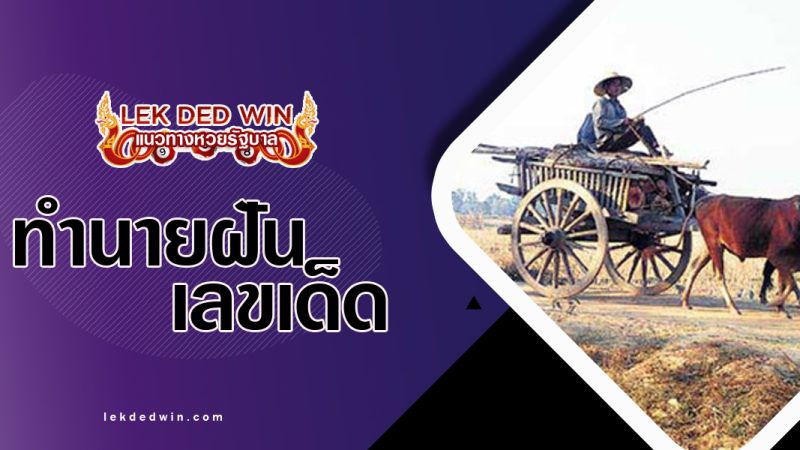 ทำนายฝันนั่งเกวียน-พร้อมเลขเด็ด