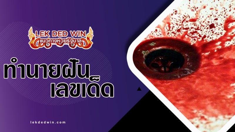 ทำนายฝันอาเจียนเลือด-พร้อมเลขเด้ด